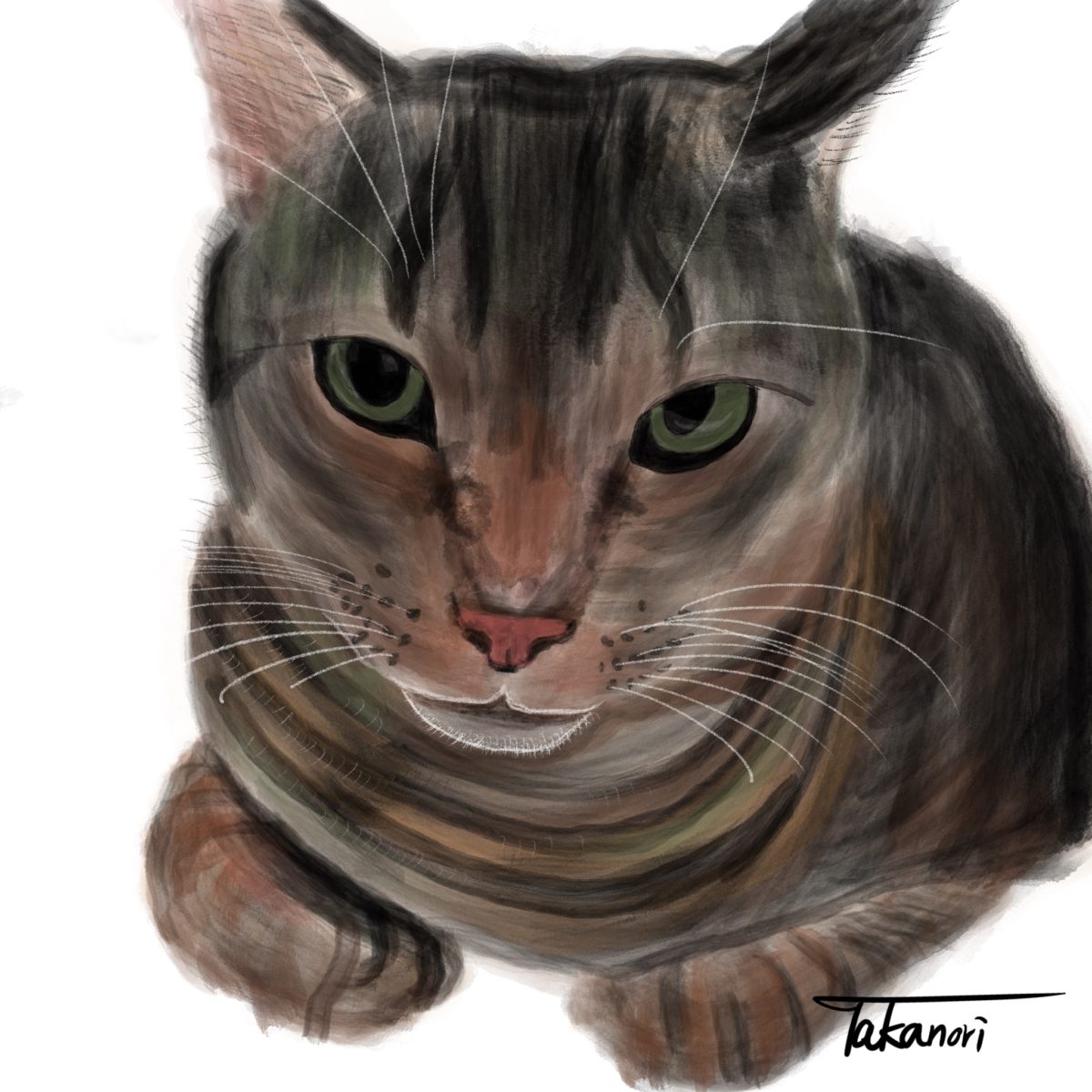A Cat Illustration